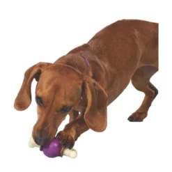 PetSafe Busy Buddy Bouncy Bone