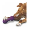 PetSafe Busy Buddy Chuckle