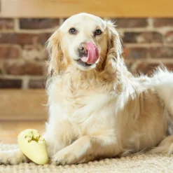 PetSafe Busy Buddy Ice Cream