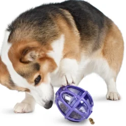 PetSafe Busy Buddy Kibble Nibble Feeder Ball
