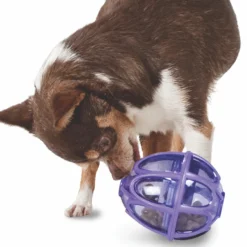 PetSafe Busy Buddy Kibble Nibble Feeder Ball