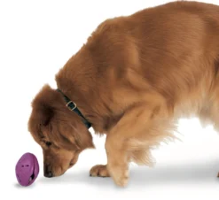 PetSafe Busy Buddy Twist'n Treat