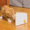 PetSafe Cheese Automatic Cat Toy