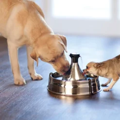PetSafe Drinkwell 360 Vattenfontän