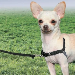 PetSafe Easy Walk Antidragsele