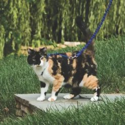 PetSafe Easy Walk Cat Harness