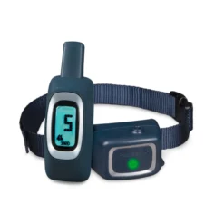 PetSafe Fjärrdressyrhalsband med Spray