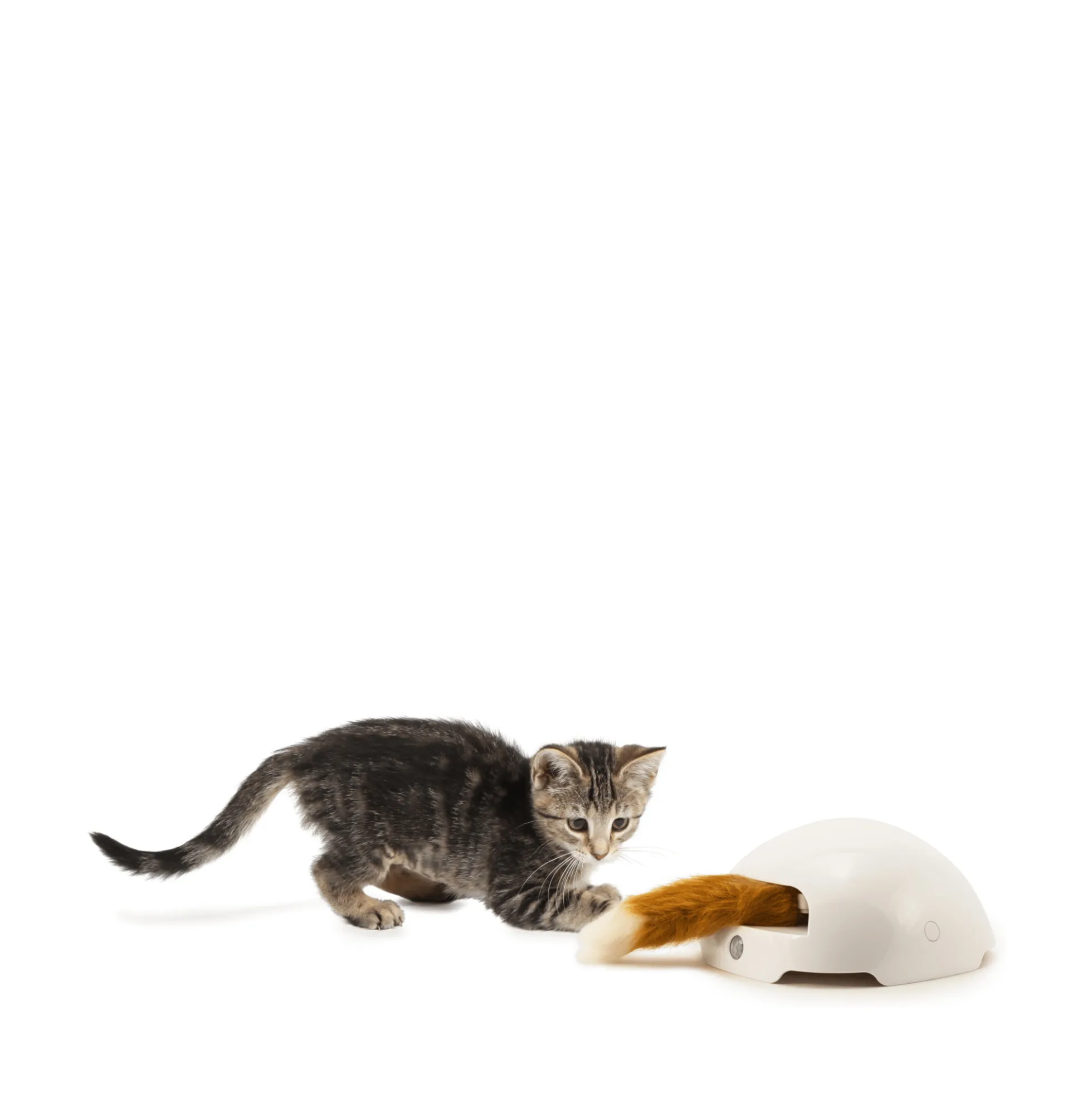 PetSafe Frolicat Fox Automatic Cat Teaser