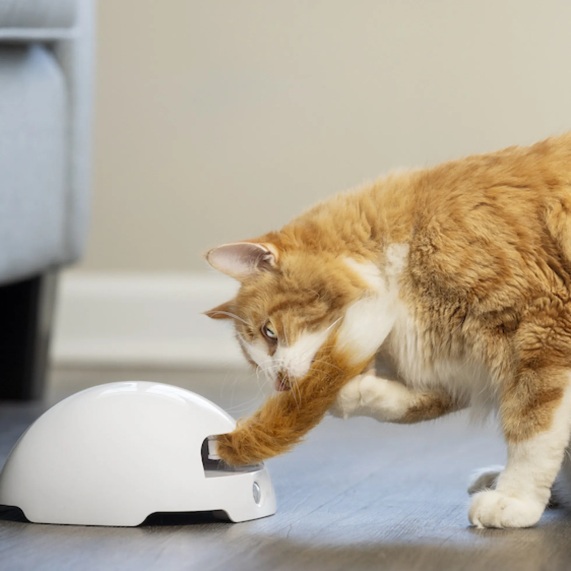 PetSafe Frolicat Fox Automatic Cat Teaser