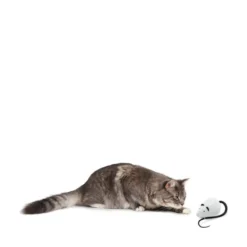 PetSafe FroliCat Rolorat
