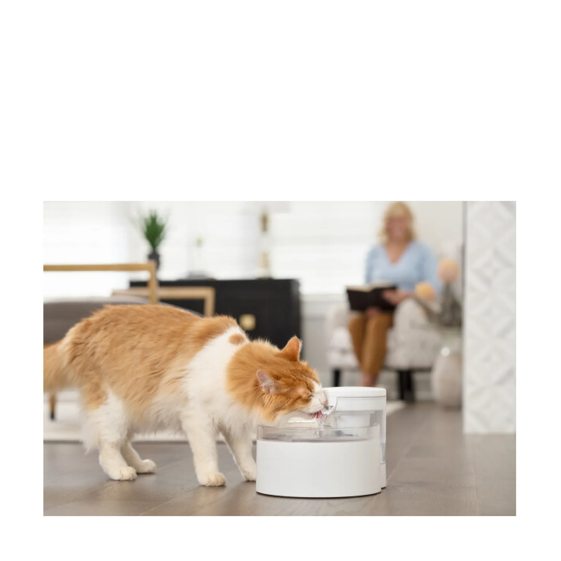 PetSafe Outlast Vattenfontän Pumpfri