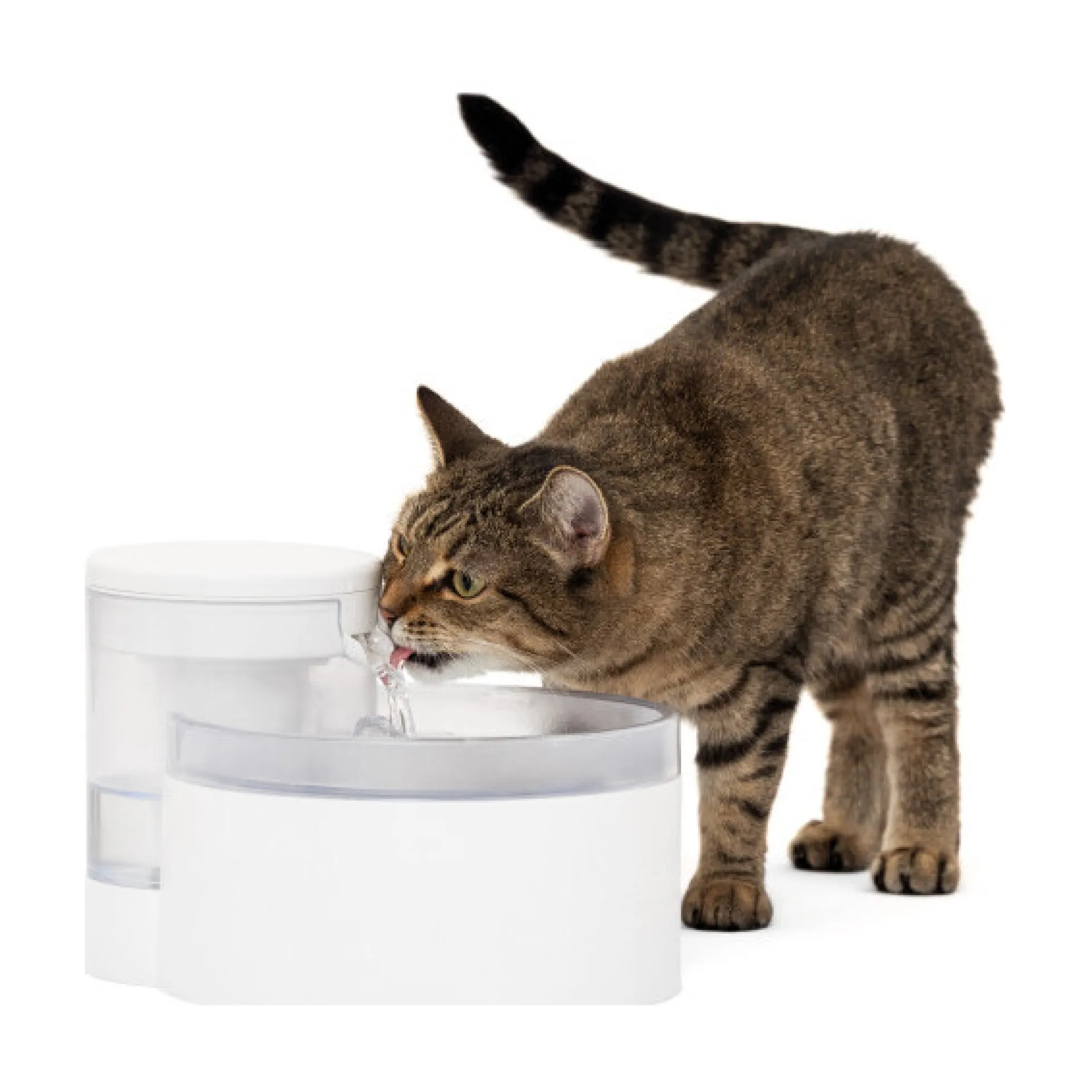 PetSafe Outlast Vattenfontän Pumpfri