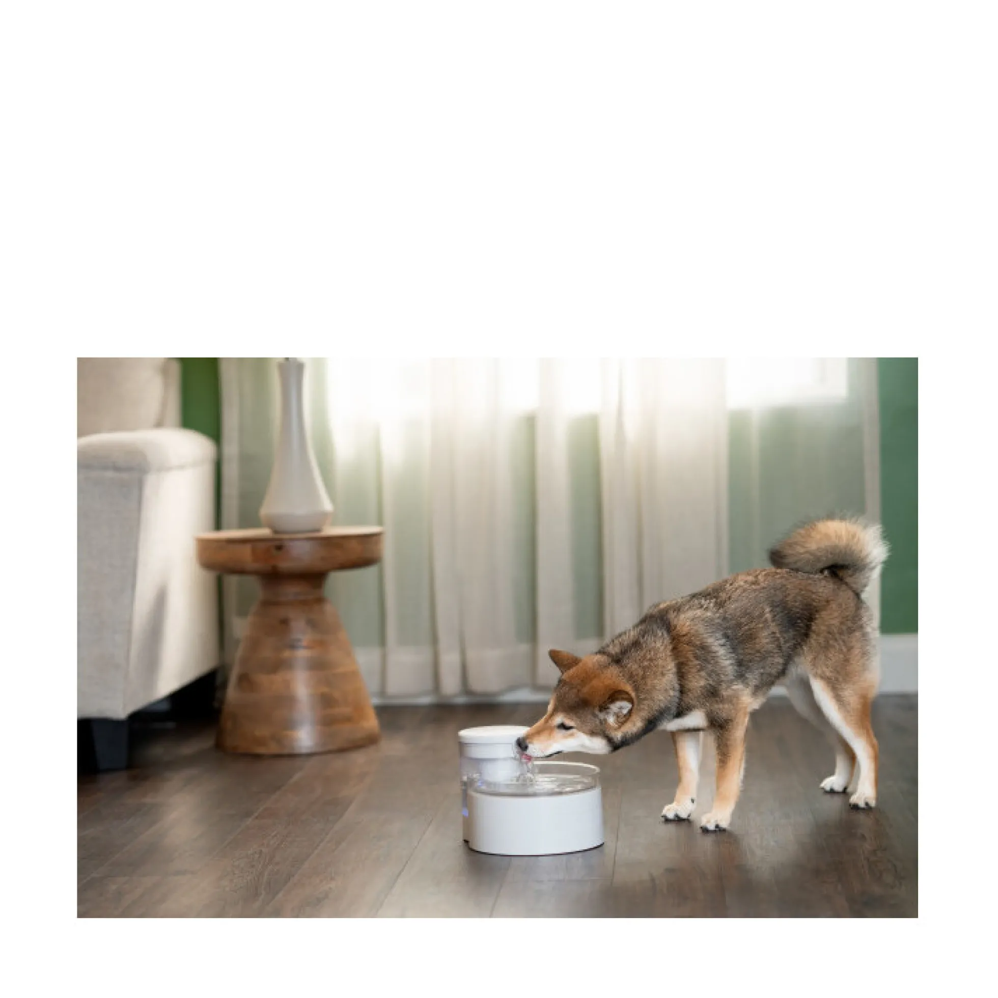 PetSafe Outlast Vattenfontän Pumpfri