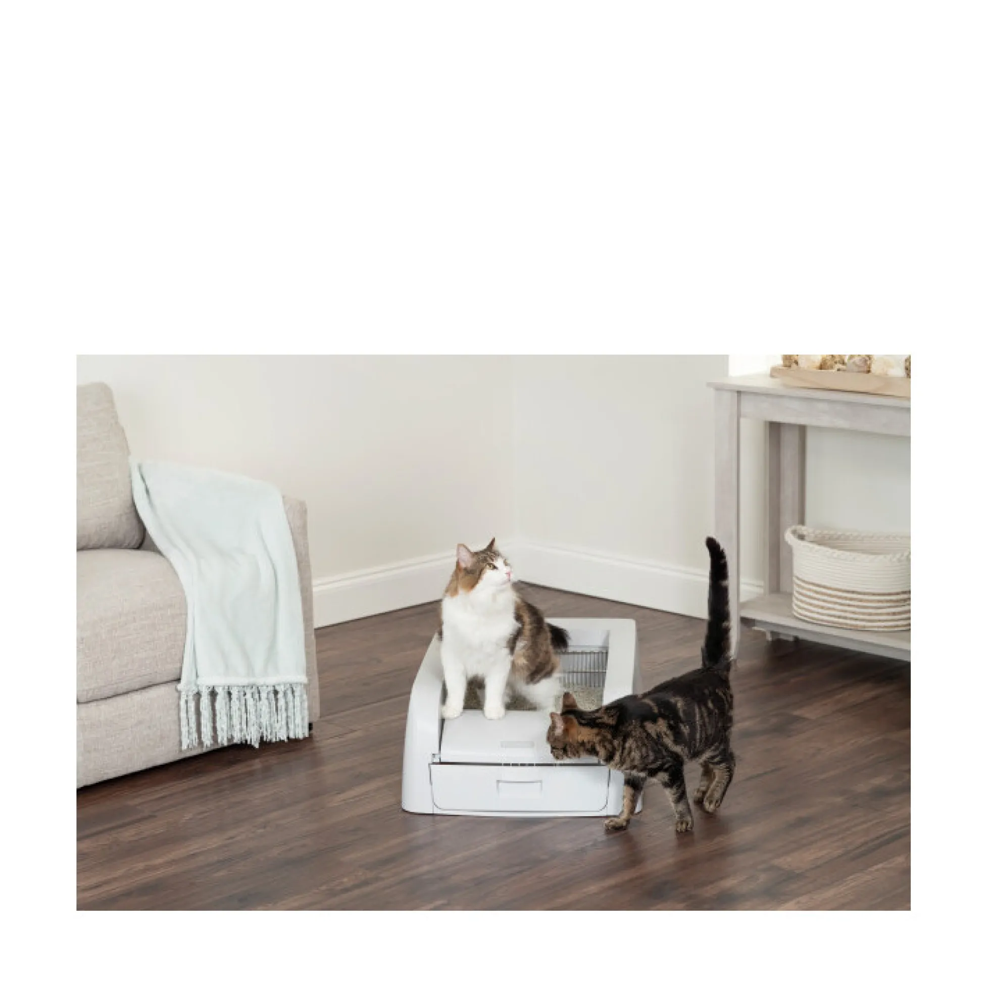 PetSafe ScoopFree Clumping Självrengörande Kattlåda