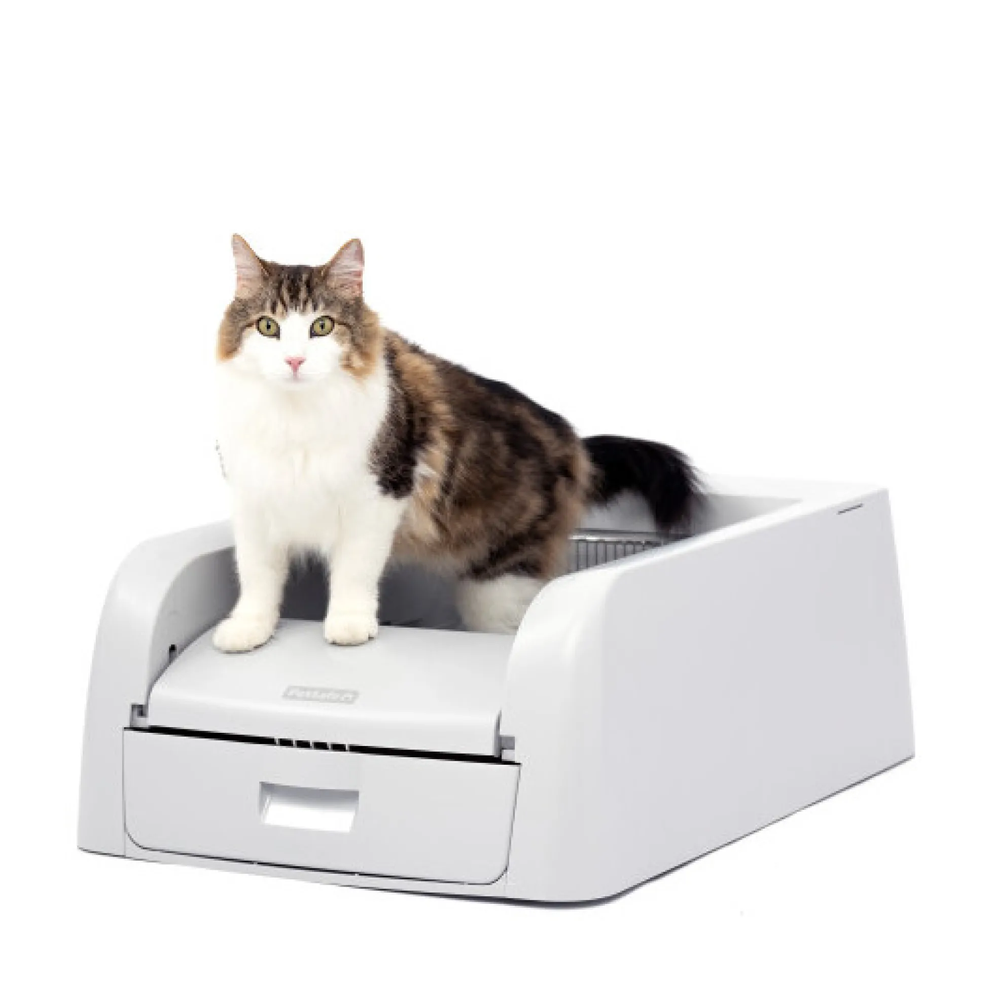 PetSafe ScoopFree Clumping Självrengörande Kattlåda