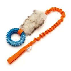 Psarvard Träningsleksak Tika Ring Orange