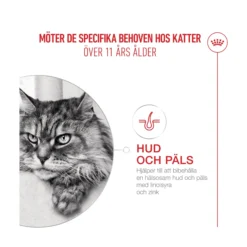 Royal Canin Ageing 11+ Torrfoder för Katt
