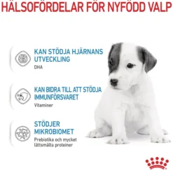 Royal Canin Babydog Milk