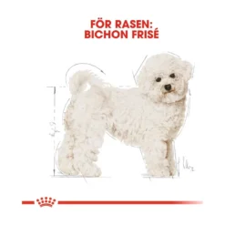 Royal Canin Bichon Frise Adult