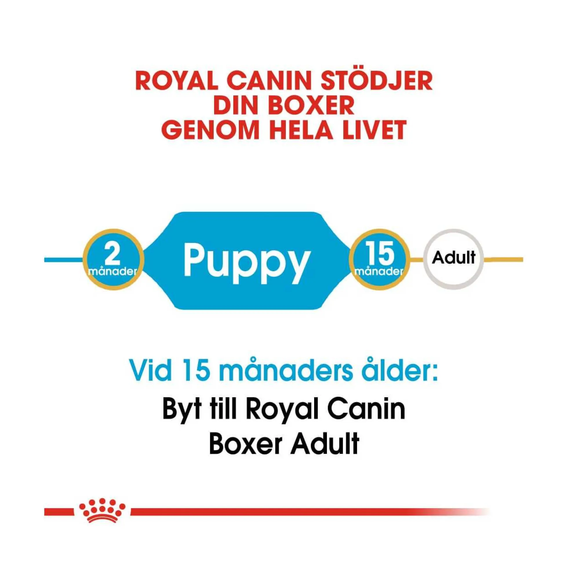 Royal Canin Boxer Puppy