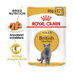 Royal Canin British Shorthair Wet