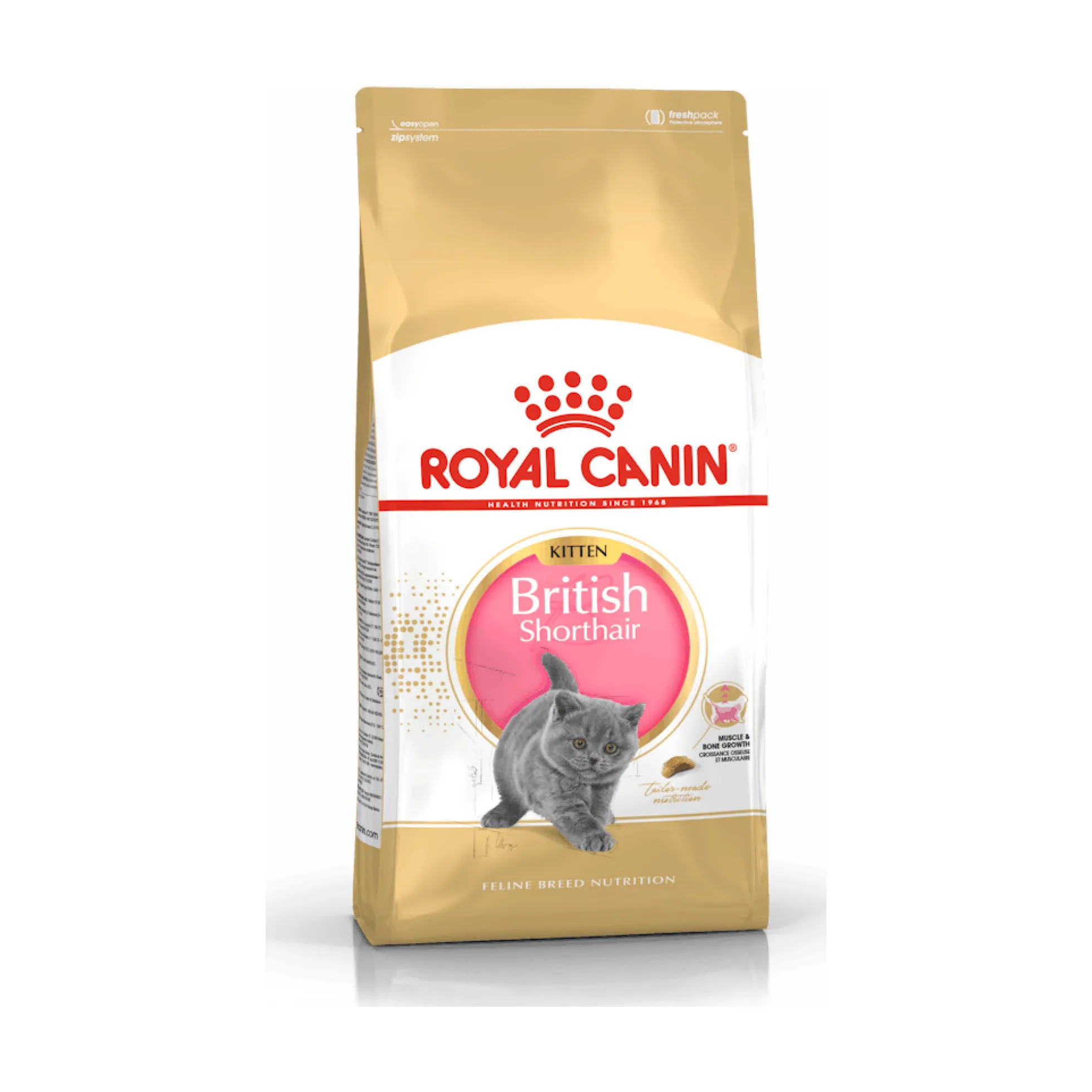 Royal Canin British Shorthair Kitten