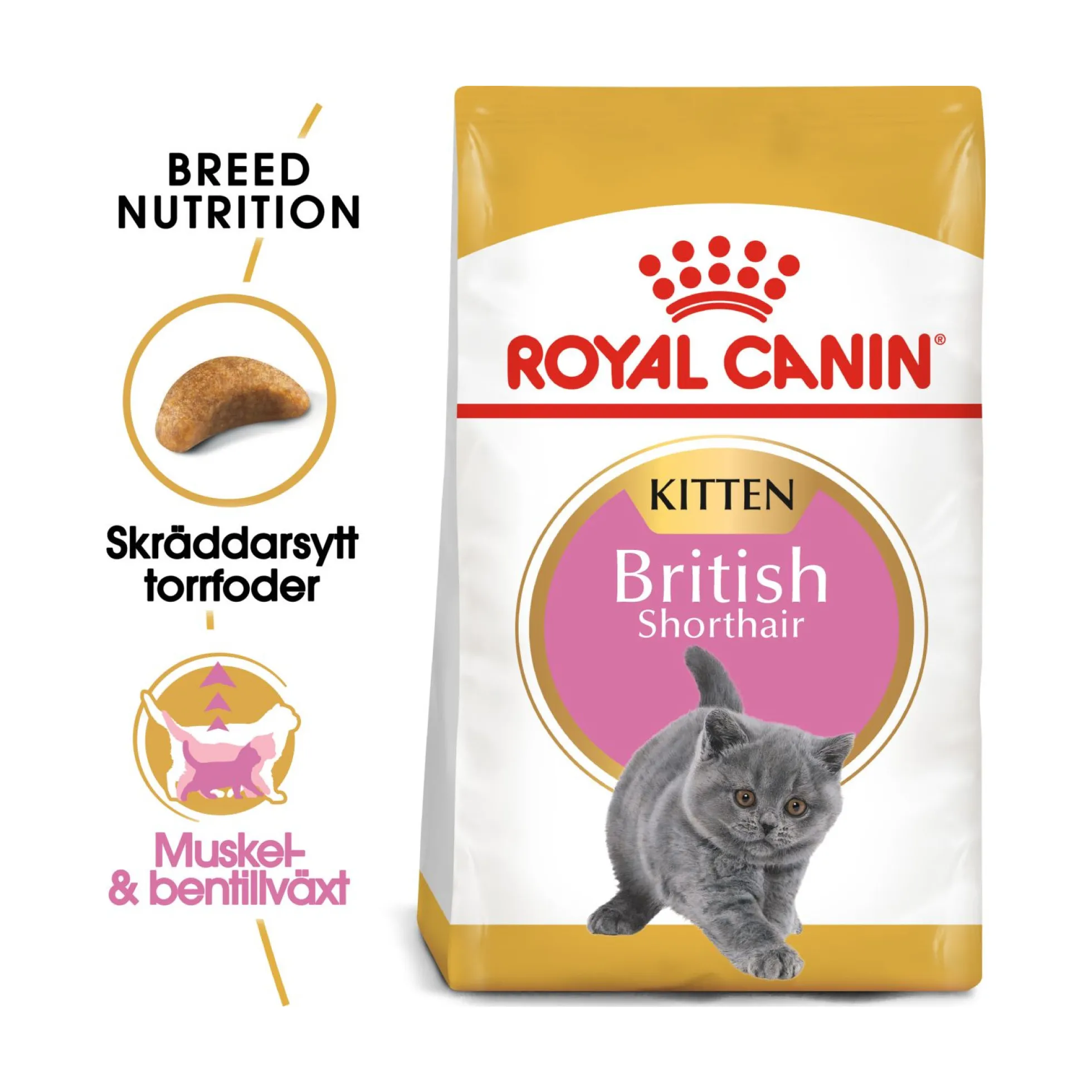 Royal Canin British Shorthair Kitten