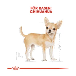 Royal Canin Chihuahua Adult