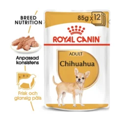 Royal Canin Chihuahua Adult Wet