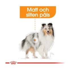 Royal Canin Coat Care Mini