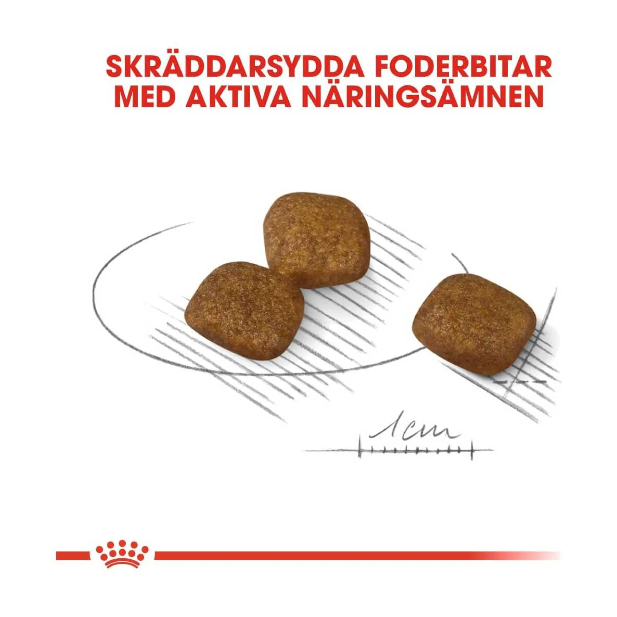 Royal Canin Coat Care Mini