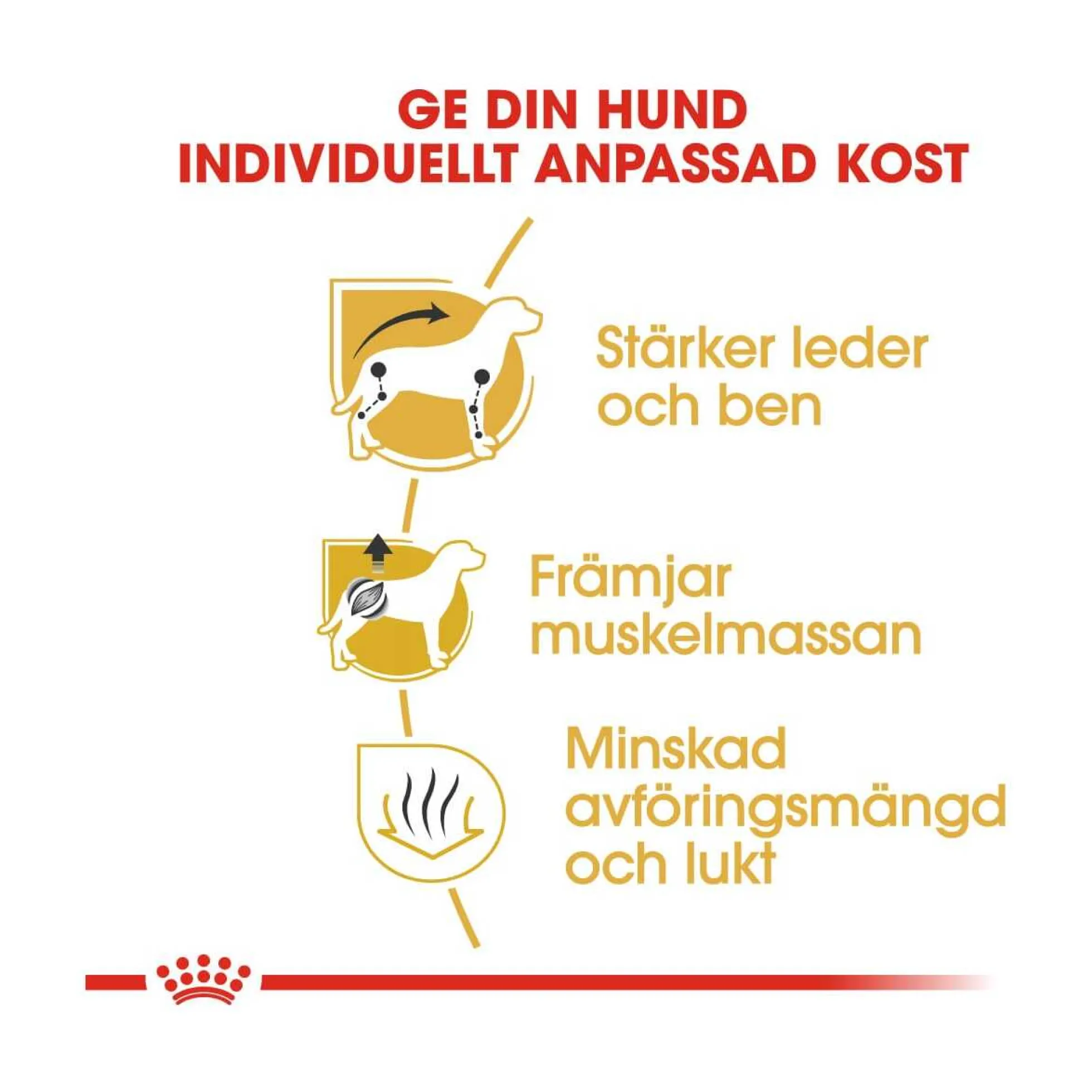 Royal Canin Dachshund Adult
