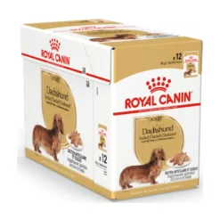 Royal Canin Dachshund Adult Wet