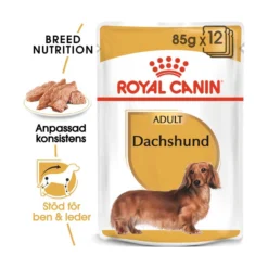 Royal Canin Dachshund Adult Wet