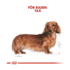 Royal Canin Dachshund Adult Wet