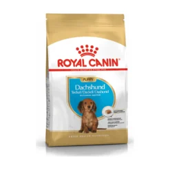Royal Canin Dachshund Puppy