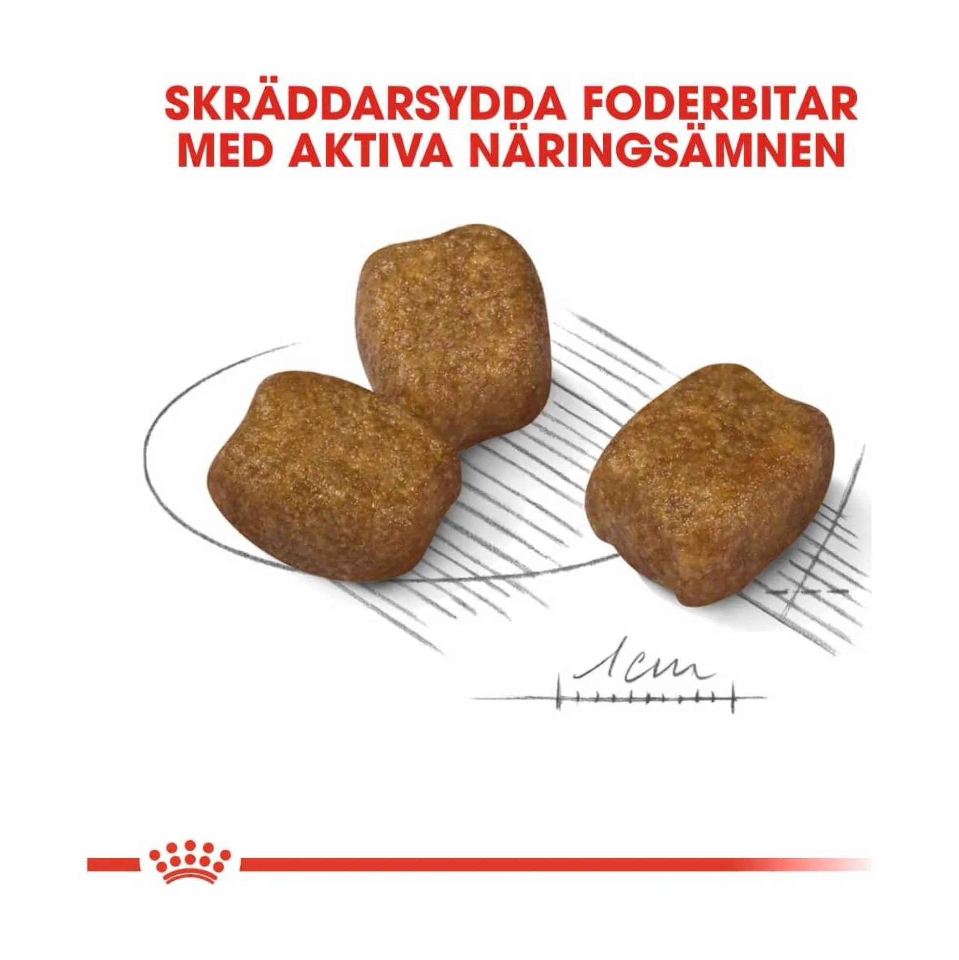 Royal Canin Dental Care Mini