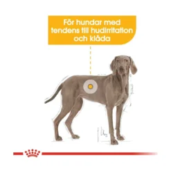 Royal Canin Dermacomfort Maxi