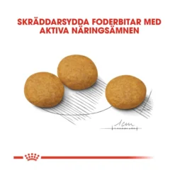 Royal Canin Dermacomfort Medium