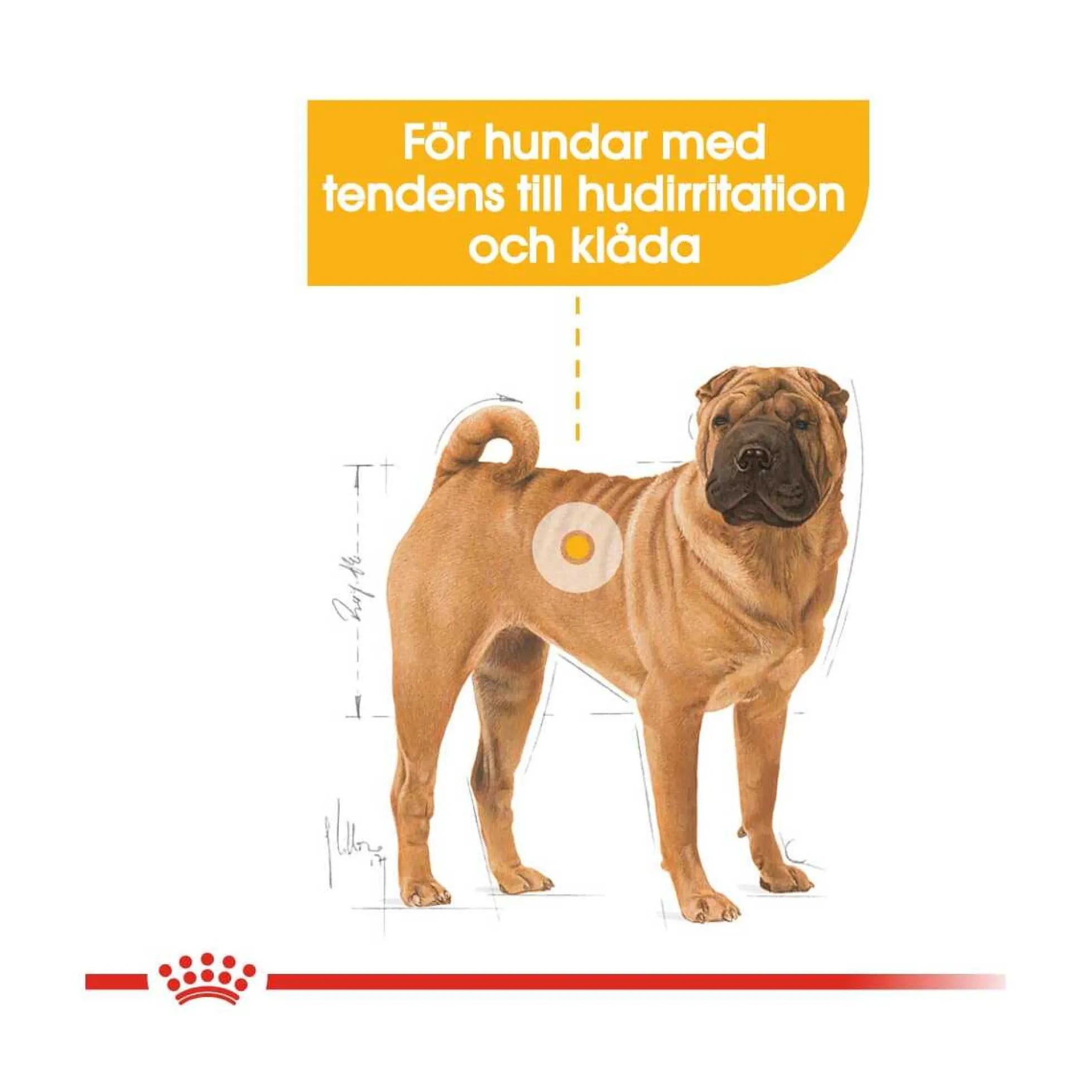Royal Canin Dermacomfort Medium