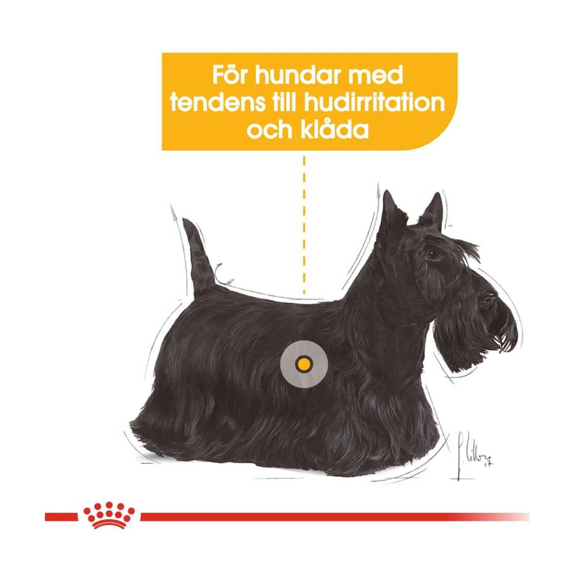 Royal Canin Dermacomfort Mini
