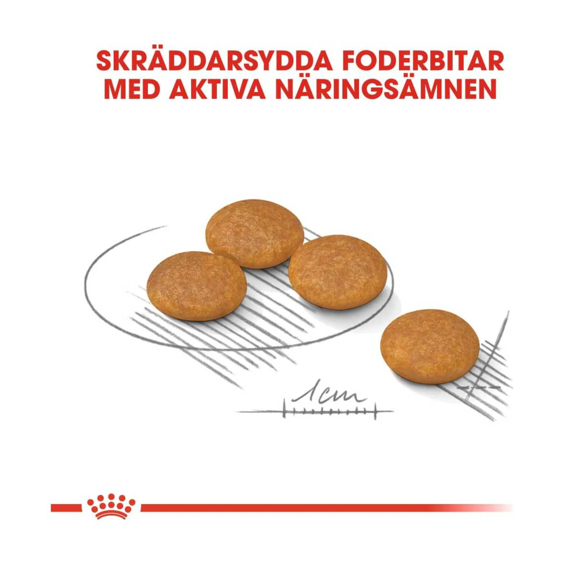Royal Canin Dermacomfort Mini