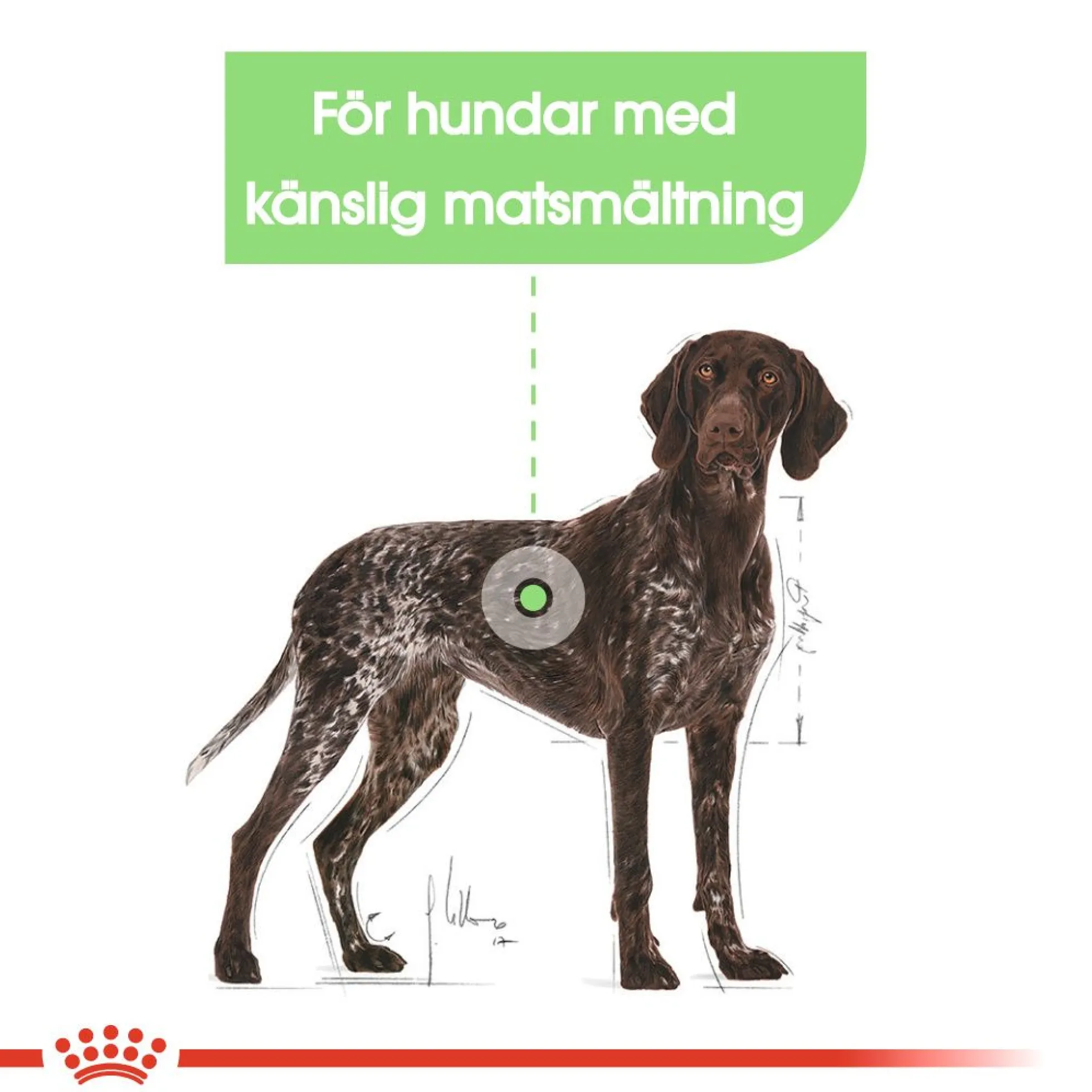 Royal Canin Digestive Care Maxi