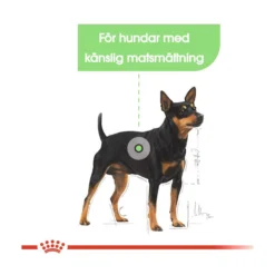 Royal Canin Digestive Care Mini