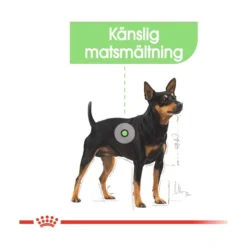 Royal Canin Digestive Care Wet