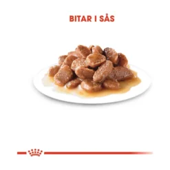 Royal Canin Digest Sensitive Gravy