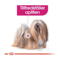 Royal Canin Exigent Wet