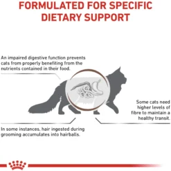Royal Canin Gastrointestinal Hairball Torrfoder för Katt