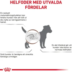 Royal Canin Gastrointestinal Low Fat Small Dog Torrfoder till Hund