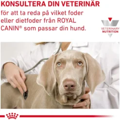 Royal Canin Gastrointestinal Low Fat Small Dog Torrfoder till Hund